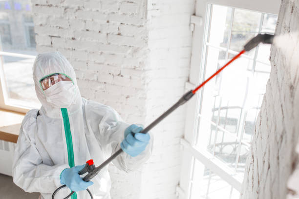 Best HVAC Mold Inspection and Cleaning  in Guttenberg, NJ