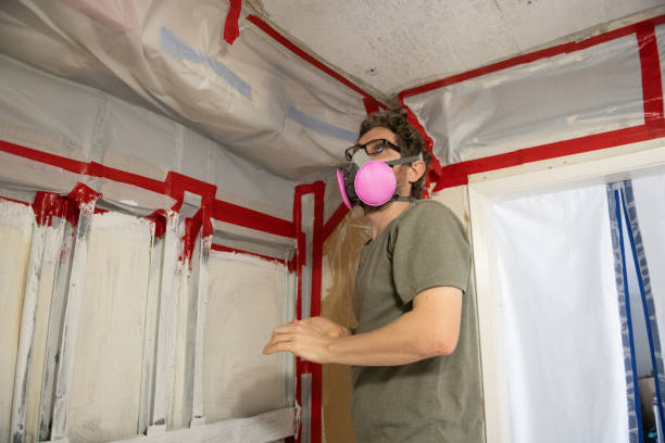 Best Attic Mold Removal  in Guttenberg, NJ
