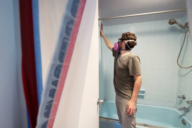 Best Asbestos and Lead Testing During Mold Inspection  in Guttenberg, NJ