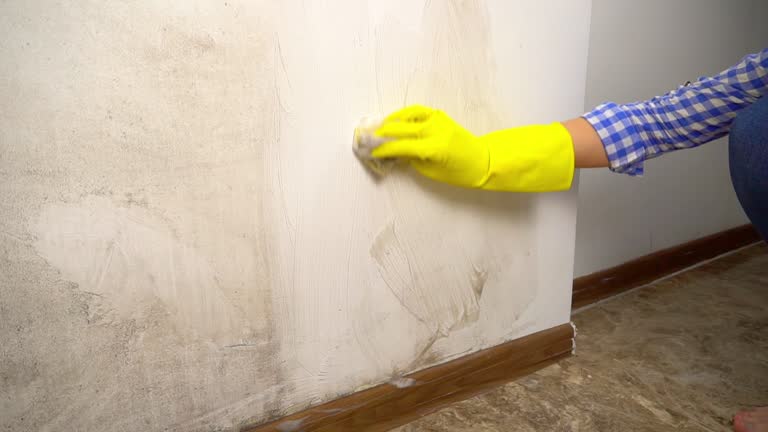 Best Mold-Related Health Consultation  in Guttenberg, NJ